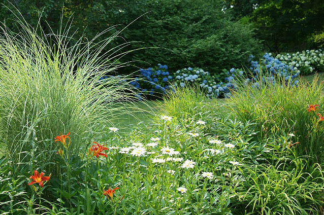 Going Native Fine Gardens and Stonework